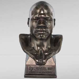  NFL Minnesota Vikings Adrian Peterson Bronze Limited 
