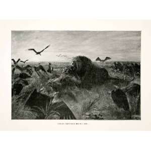   Sunset Vultures McCormick Animals Hyenas   Original Halftone Print