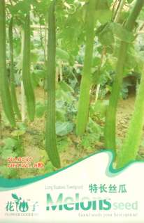 B046 Long Suakwa Towelgourd/Luffaa cylindri Gourd Seed  