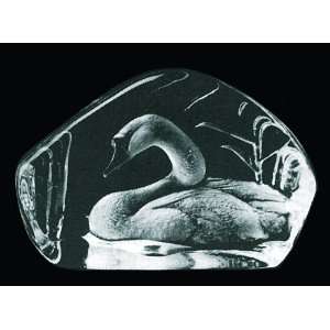 Swan Etched Crystal Sculpture by Mats Jonasson  Kitchen 