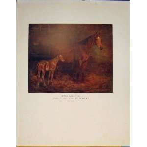  Color Mare Foal Sketch Drawing Fine Art Old Print C1936 
