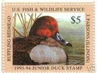 JDS 1 Federal Jr. Junior Duck Stamp  