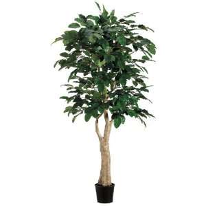 Banyan Leaf Tree w/626 Lvs. in Pot Two Tone Green (Pack of 2 
