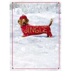    Avanti Plus Christmas Cards, Jingle Dog, 10 Count