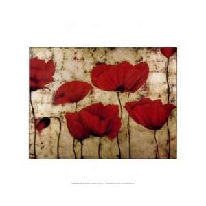  Poppies II by Dana del Castillo 14x11