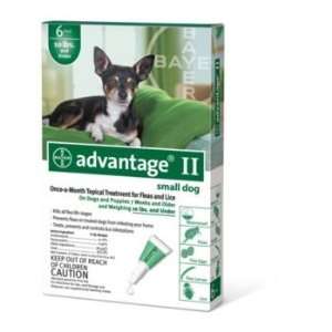  Advantage II for Dogs 12 Month Supply 21 55lb Pet 