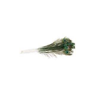  Edible Peacock Feathers   Set of 12   Cake Decorations 