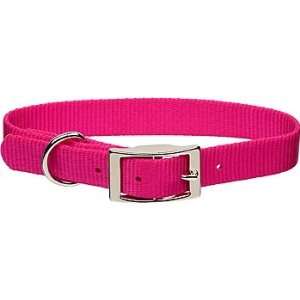   Personalized Dog Collar in Pink Flamingo, 5/8 Width