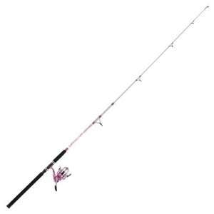   Bigwater 7 Saltwater Spinning Rod and Reel Combo