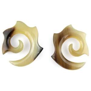  Large Caramel Colored Horn Sea Spiral Earrings   Gauge 