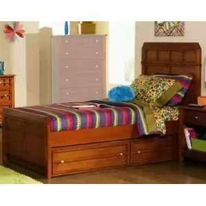  400421T Coaster Aiden Youth Twin Panel Bed in