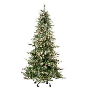   Needle Virginia Pine Christmas Tree   Clear Lights