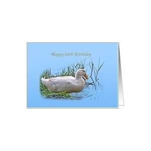 86th Birthday Card with Pekin Duck Card Toys & Games