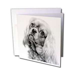 VWPics Dogs n Cats   Cavalier King Charles   Greeting Cards 6 Greeting 