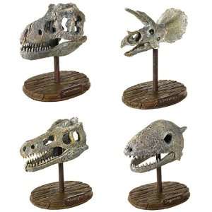  Dinosaur Skull Excavation Discovery by Toysmith Toys 