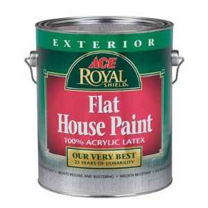    Ace Royal Shield Exterior Flat Latex House Paint