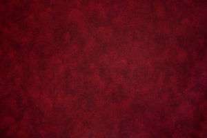 108 inch Red Quilt Backing Fabric  