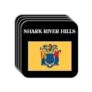  US State Flag   SHARK RIVER HILLS, New Jersey (NJ) Set of 