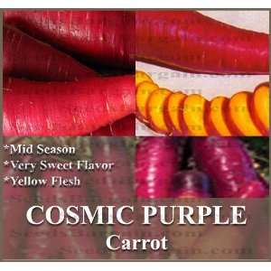  1 oz (30,000+) COSMIC PURPLE Carrot seeds beautiful carrot 