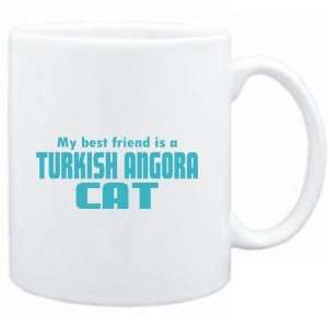   BEST FRIEND IS a Turkish Angora  Cats 