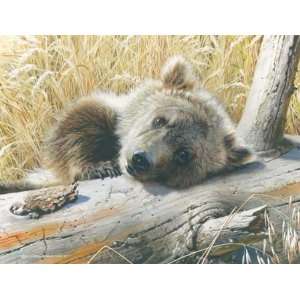  Carl Brenders   Time Out Grizzly Cub