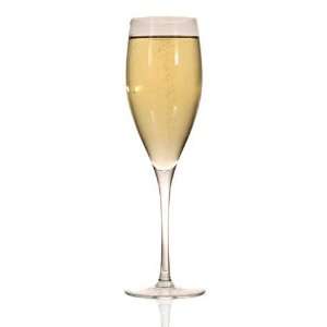   Ravenscroft Crystal 9.5 Champagne Glass (Set of 4)