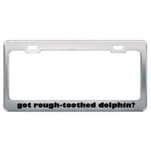 Got Rough Toothed Dolphin? Animals Pets Metal License Plate Frame 