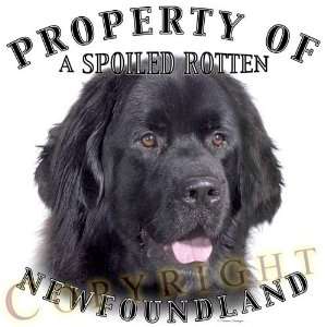 Newfoundland BLACK dog breed THROW PILLOW 16 x 16 