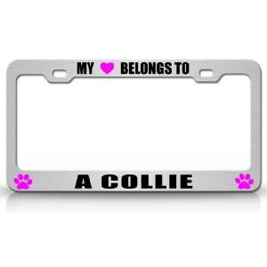 MY HEART BELONGS TO A COLLIE Dog Pet Steel Metal Auto License Plate 