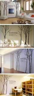 Large Beautiful thing trees Forest Elegant Wall Decor Decal Sticker 