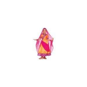   Princesses of the World   Indian Princess Costume Toys & Games