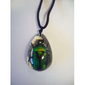  Real Genuine Beetle Insect Bug Lucite Necklace Lg Teardrop 