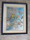   Parakeets Picture Vintage Signed Osborne sold in MC CRORYS Store