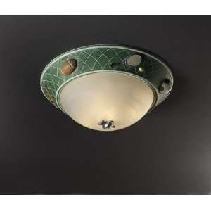  Glow In The Dark 17 Inch Sports Ceiling Light