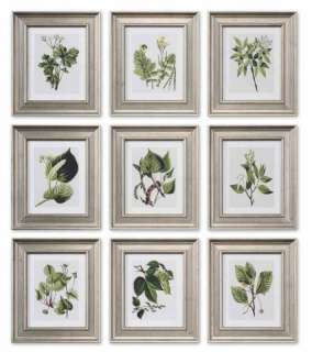 Set 9 Silver Wood Frame Botanical Leaf Print  