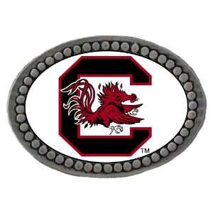  South Carolina Team Logo Lapel Pin