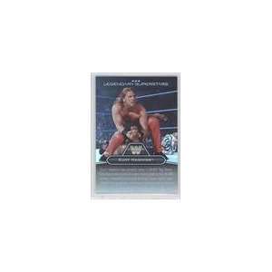   WWE Legendary Superstars #LS19   Curt Hawkins/Curt Hennig Sports