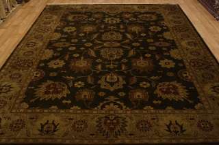 New Rare Color Hand Knotted Agra Allover Oriental Handmade Rugs 