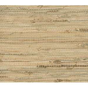  Rush Cloth Heavy Weave Wallpaper DSG4634