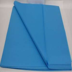  BRIGHT TURQUOISE Premium Bulk Tissue Paper   480 Sheets 20 