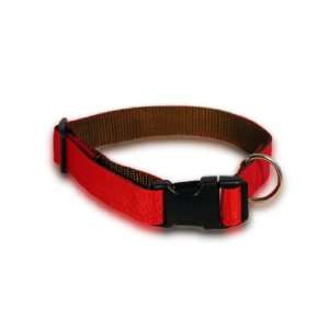  Red Medium Dog Collar