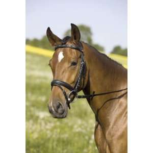   Julie II Pony Snaffle Bridle with Stone Browband