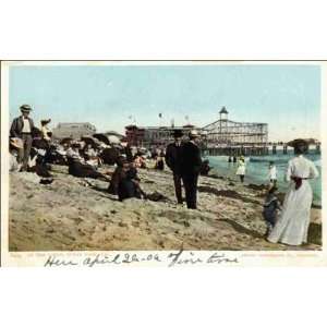  Reprint Ocean Park CA   On the Sands 1900 1909