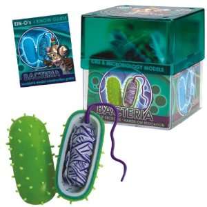  BioSigns Bacteria by TEDCO Toys & Games