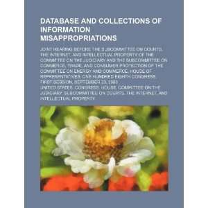  Database and collections of information misappropriations 
