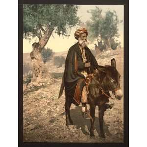   Native of Bethlehem on his donkey, Holy Land,West Bank