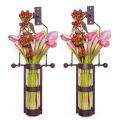 Wall Mount Hanging Glass Cylinder Vase Set with Metal Cradle and Hook 