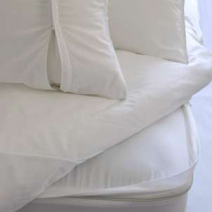 Clean mattress protected from bedbugs with a mattress cover