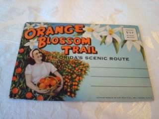 Souvenir Postcard Folder ~ Orange Blossom Trail ~ Florida  