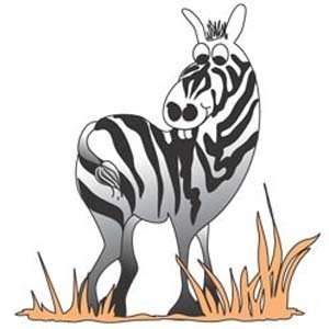  Optional Graphics   Zebra